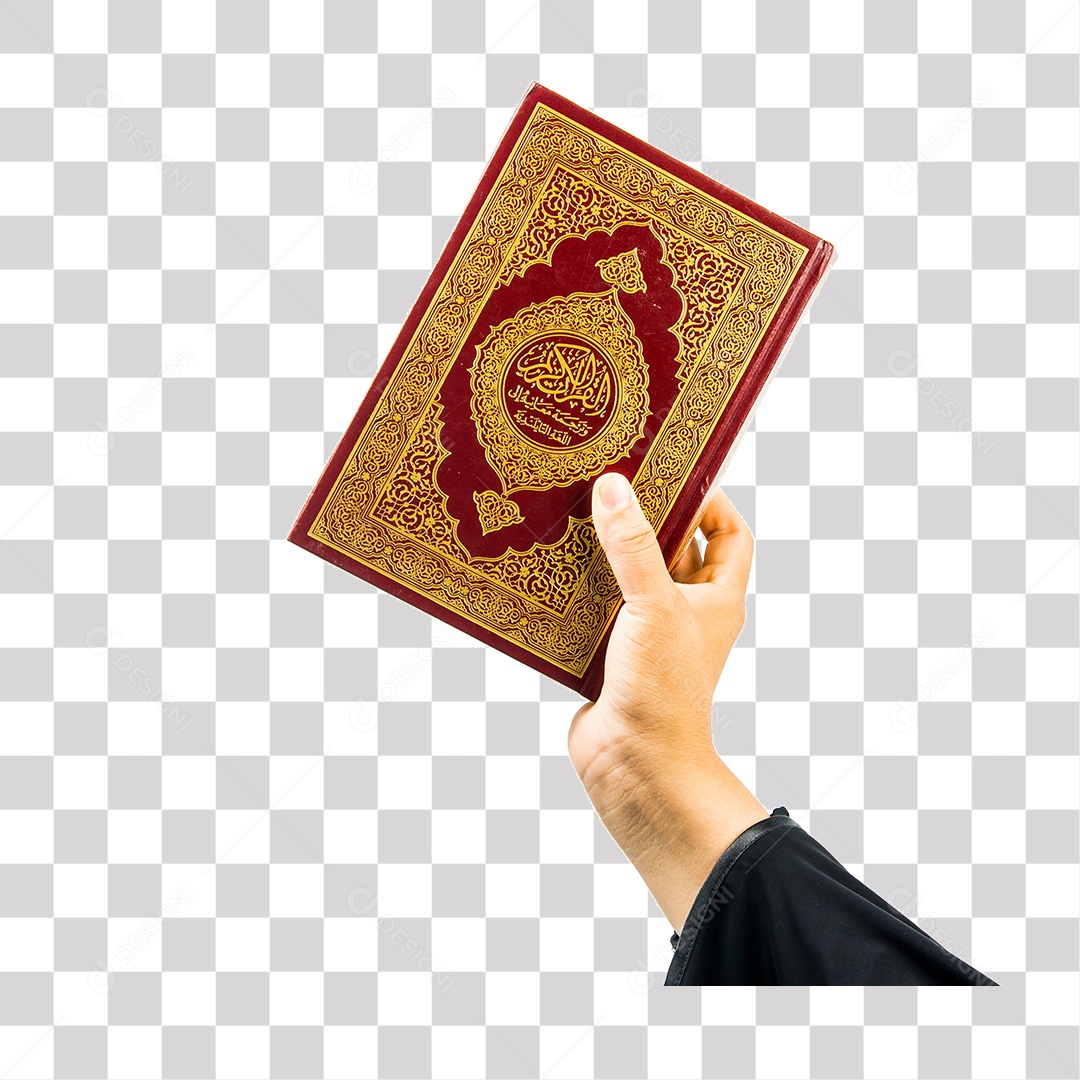 Mão de Homem Segurando Livro PNG Transparente