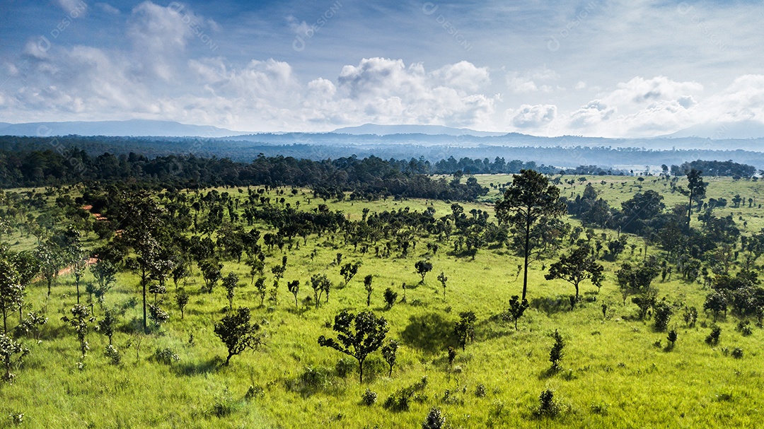 Vista aérea de florestas e pastagens na Tailândia