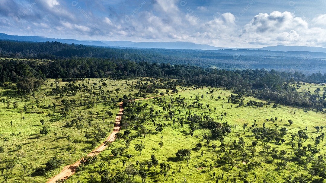 Vista aérea de florestas e pastagens na Tailândia