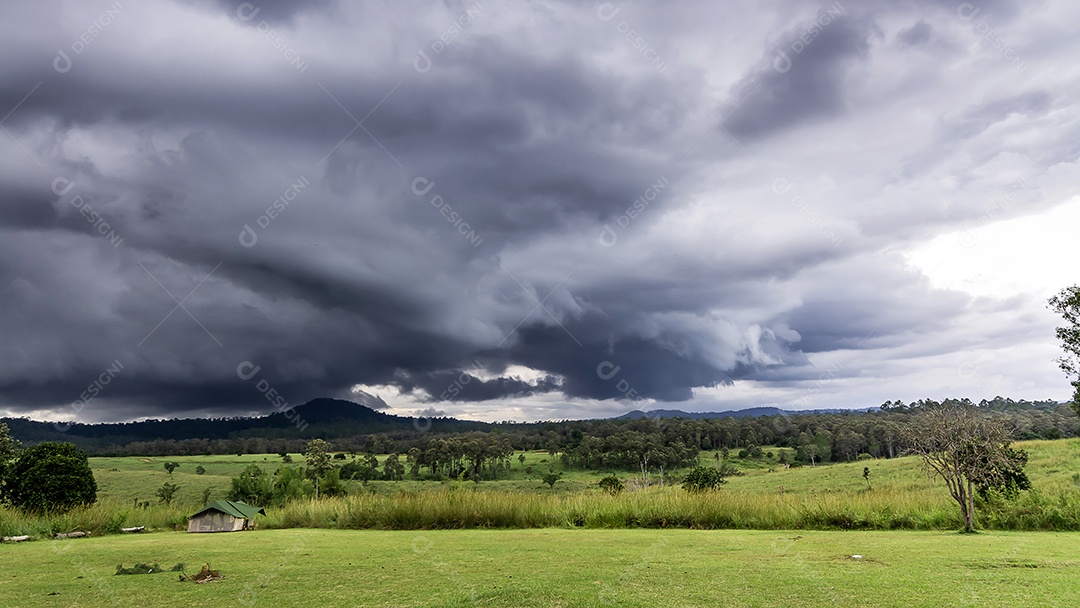 Paisagem de pastagens e árvores na província de Phetchabun Tailândia do Parque Nacional Thung Salaeng Luang.