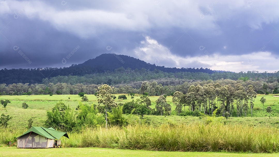 Paisagem de pastagens e árvores na província de Phetchabun Tailândia do Parque Nacional Thung Salaeng Luang.