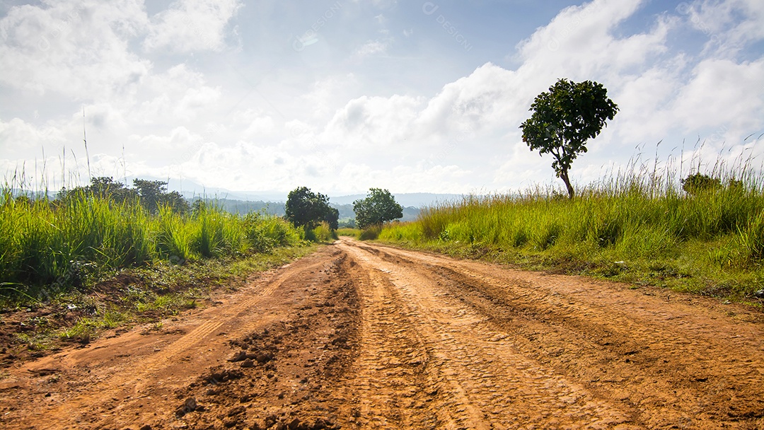 Estrada rural através de campos verdes e árvores na Tailândia