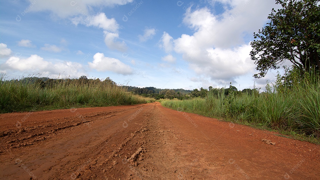 Estrada rural através de campos verdes e árvores na Tailândia