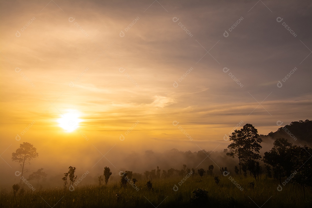 Paisagem de pastagens e árvores na província de Phetchabun Tailândia do Parque Nacional Thung Salaeng Luang.