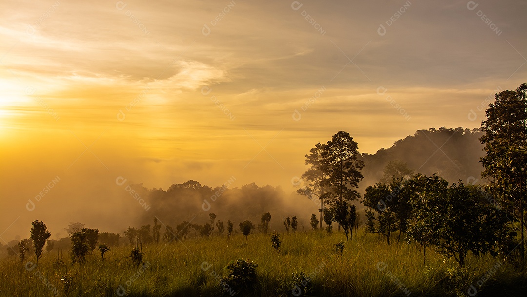 Paisagem de pastagens e árvores na província de Phetchabun Tailândia do Parque Nacional Thung Salaeng Luang.
