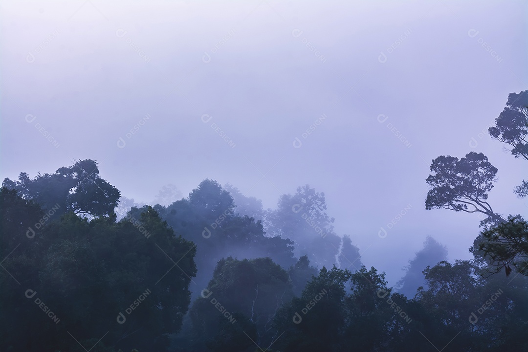 Paisagem de pastagens e árvores na província de Phetchabun Tailândia do Parque Nacional Thung Salaeng Luang.