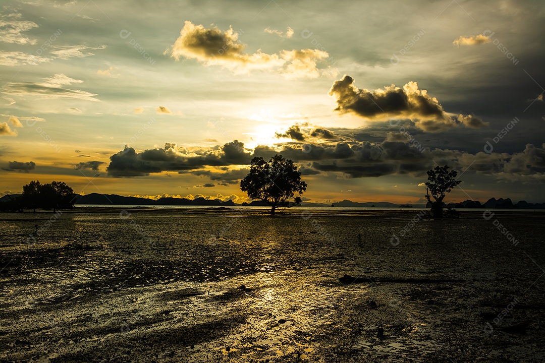 Silhueta de uma árvore à noite