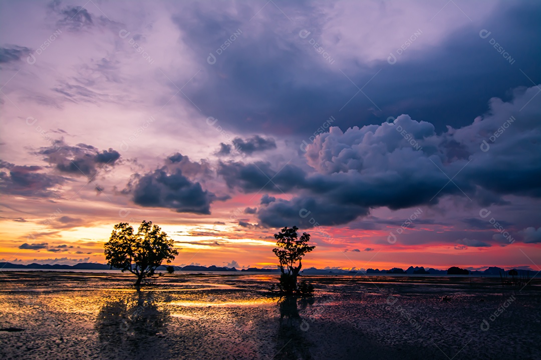 Silhueta de uma árvore à noite