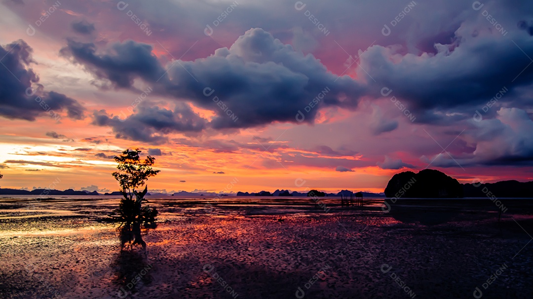 Silhueta de uma árvore à noite