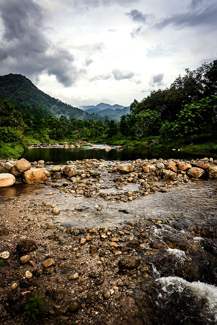 Paisagem selvagem do rio da floresta. Fluxo de rio selvagem rochas fluindo, Tailândia