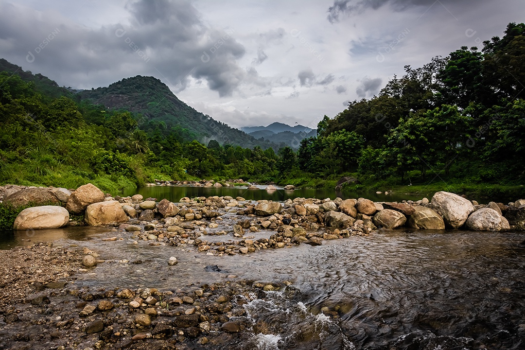 Paisagem selvagem do rio da floresta. Fluxo de rio selvagem rochas fluindo, Tailândia