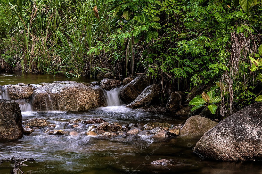 Paisagem selvagem do rio da floresta. Fluxo de rio selvagem rochas fluindo, Tailândia