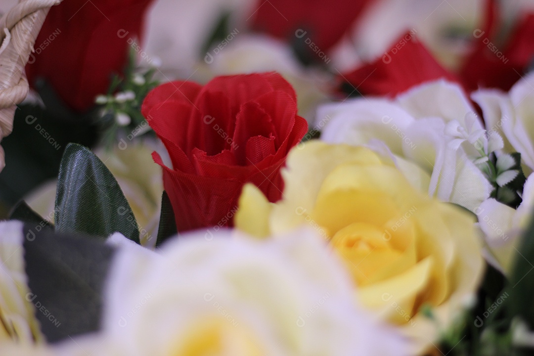 Lindas flores rosas e tulipas Imagem JPG