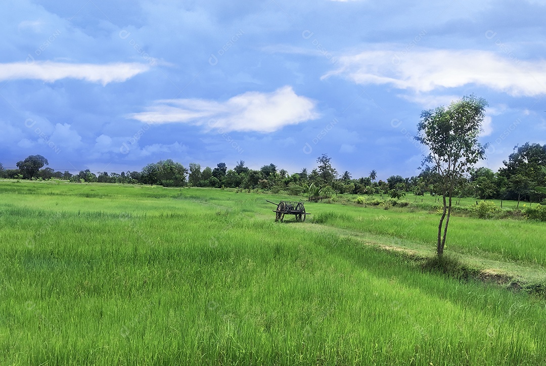 Prados verdes com céu azul e fundo de nuvens