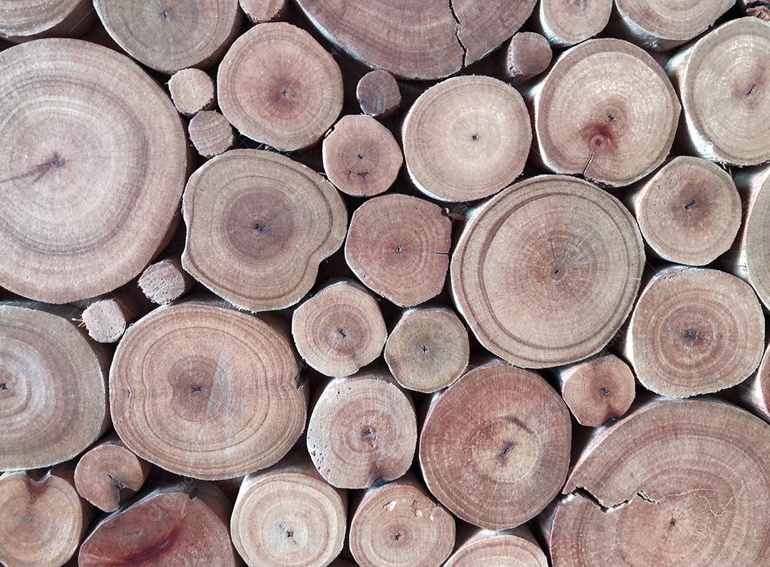 Pilha de toras de madeira prontas para o inverno