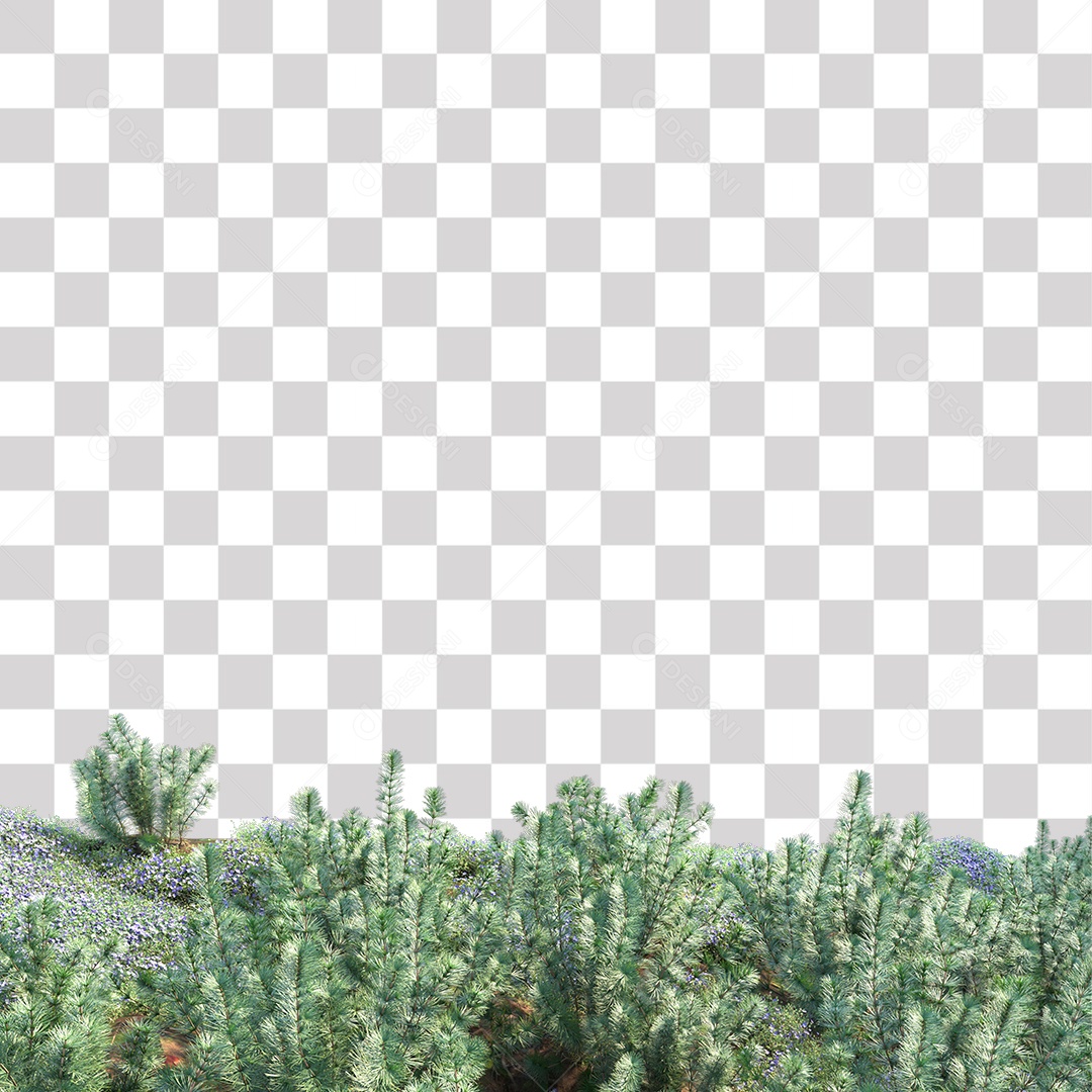 Planta Arbusto PNG Transparente