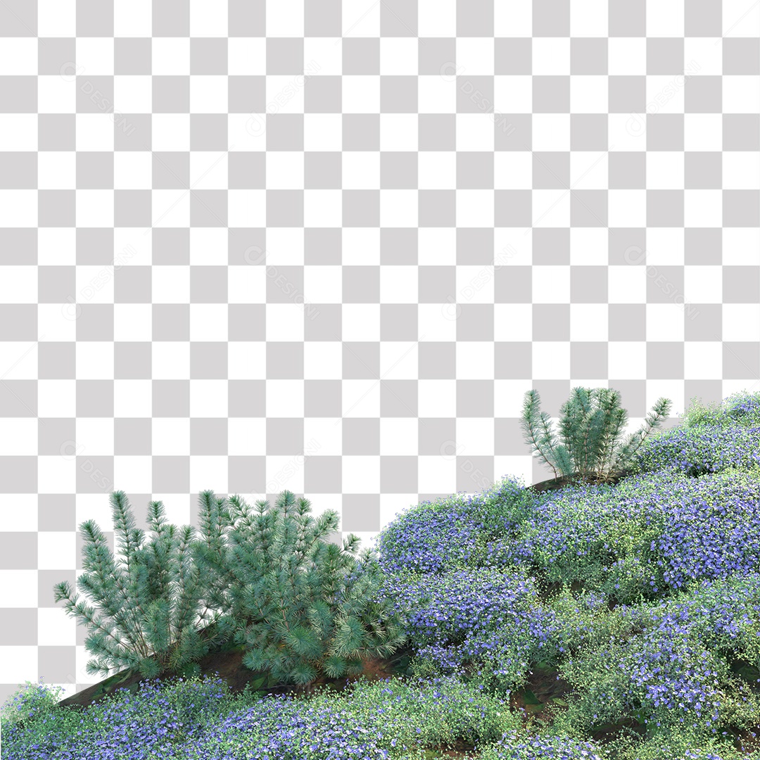 Planta com Flor PNG Transparente