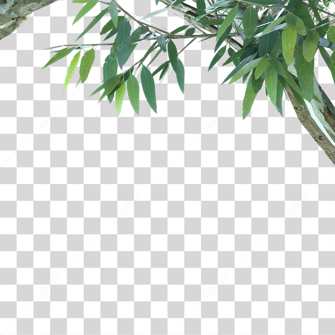 Árvores verdes PNG Transparente