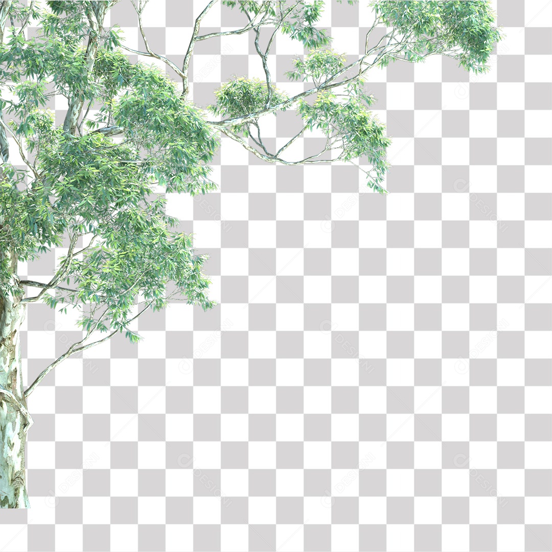 Árvore de Folha Verde Planta PNG Transparente