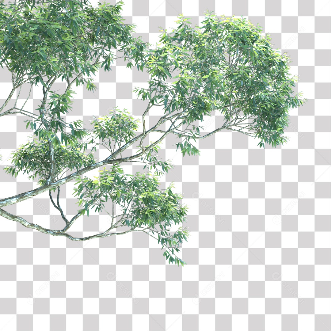 Árvore de Folha Verde Planta PNG Transparente