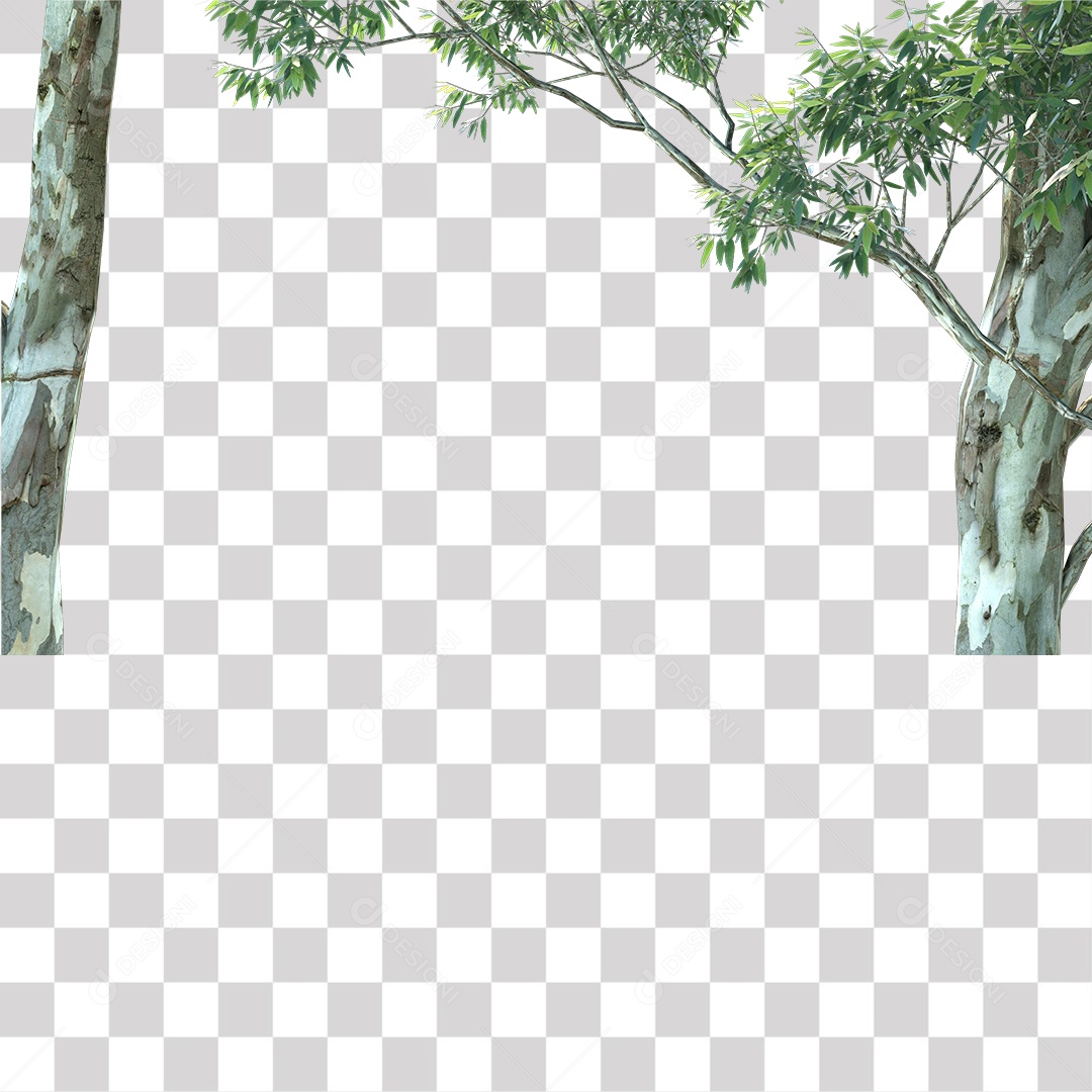 Árvore de Folha Verde Planta PNG Transparente