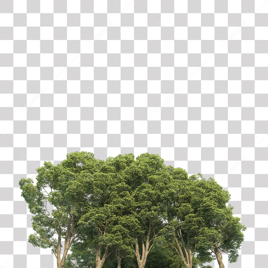 Árvores verdes PNG Transparente
