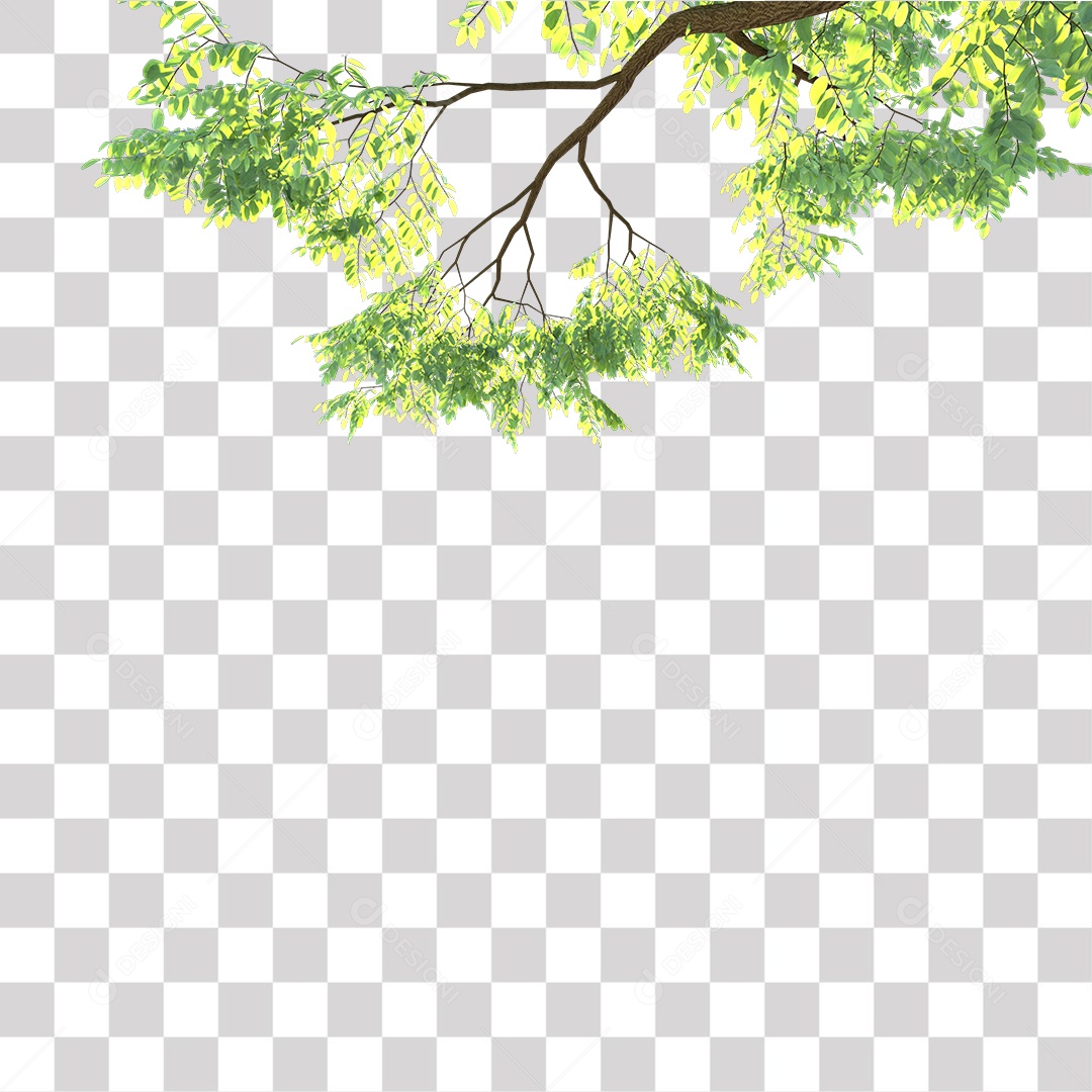 Árvores verdes PNG Transparente