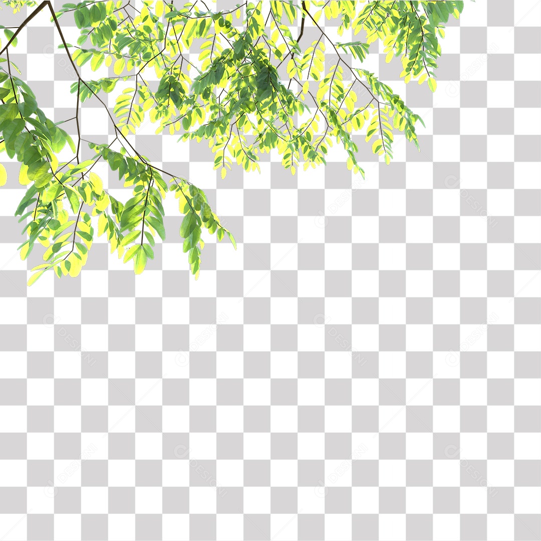 Árvores verdes PNG Transparente