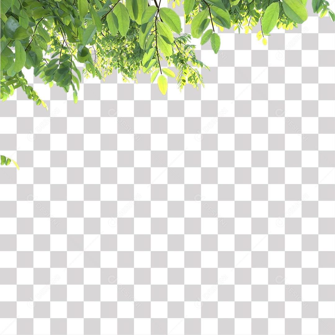 Folha Verde Planta PNG Transparente