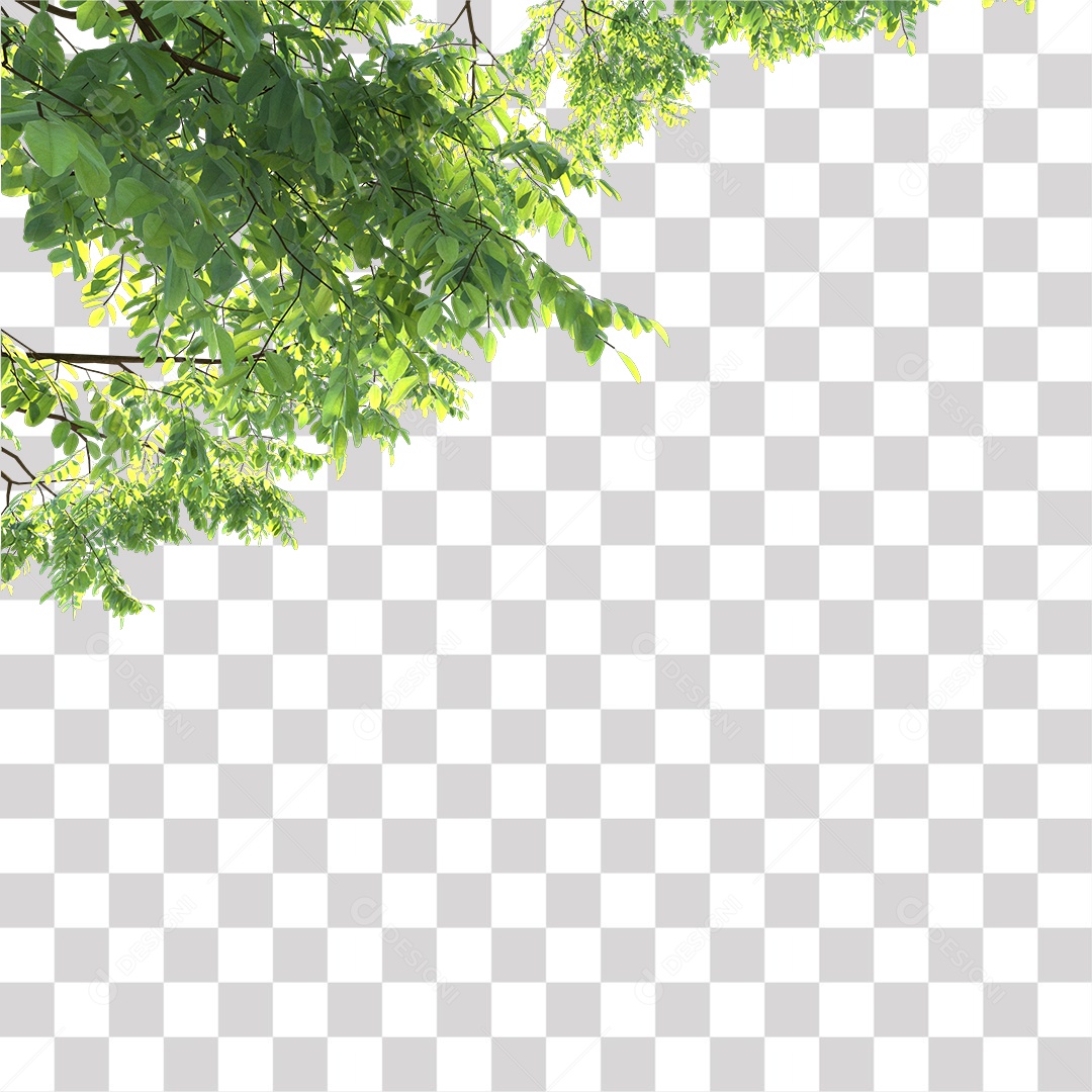 Folha Verde Planta PNG Transparente