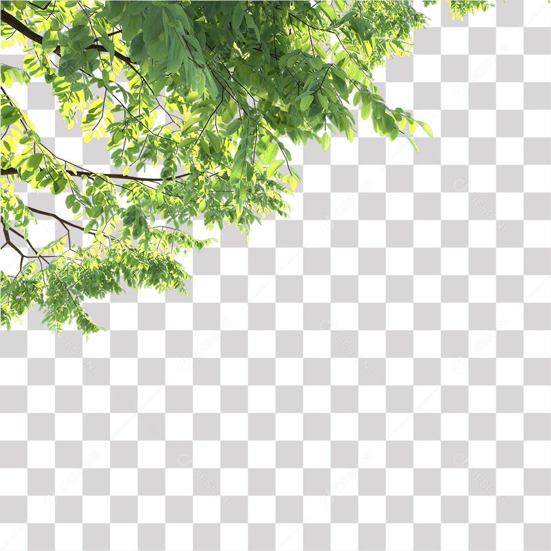 Folhas verdes de árvores PNG Transparente