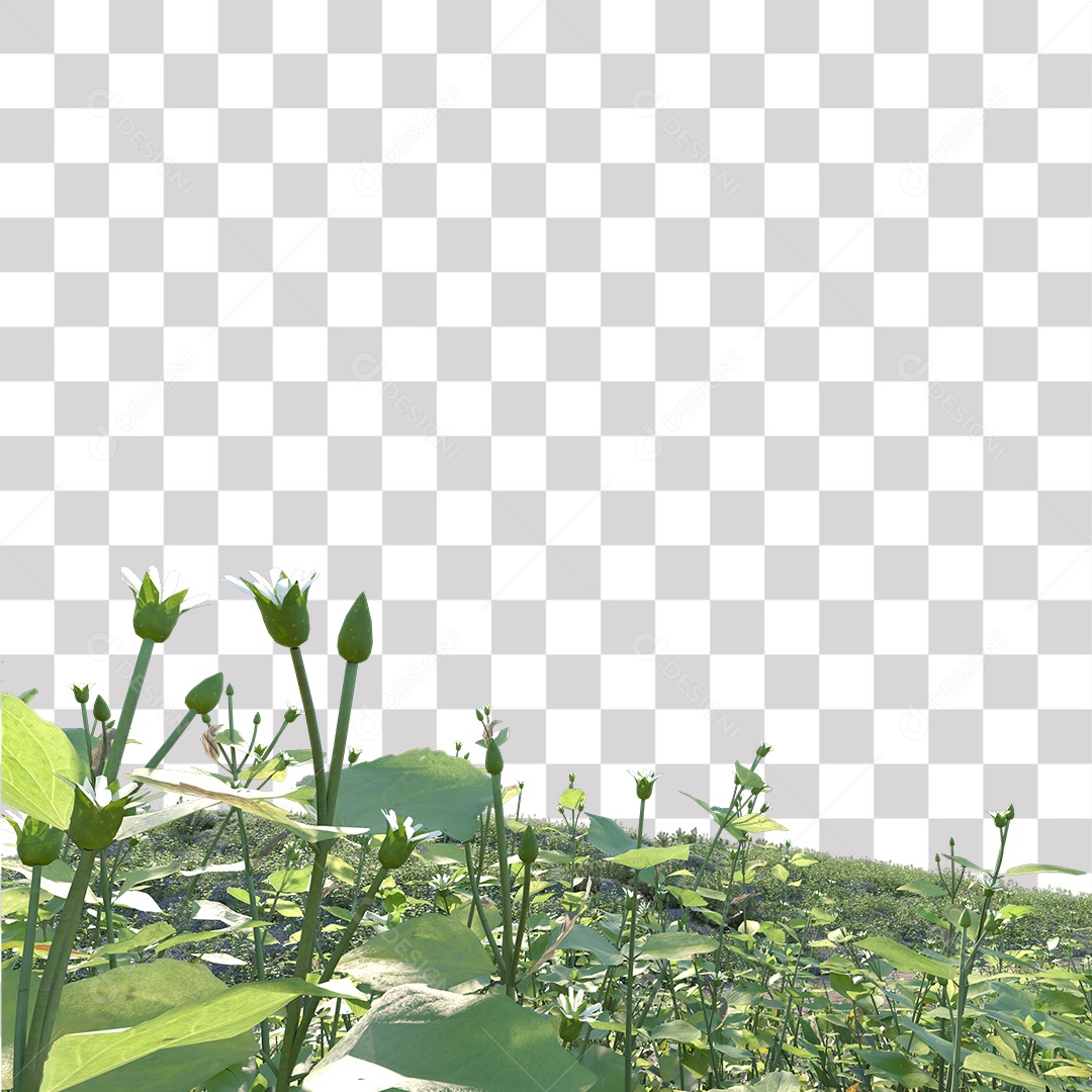 Planta com folhas verdes pedra PNG Transparente