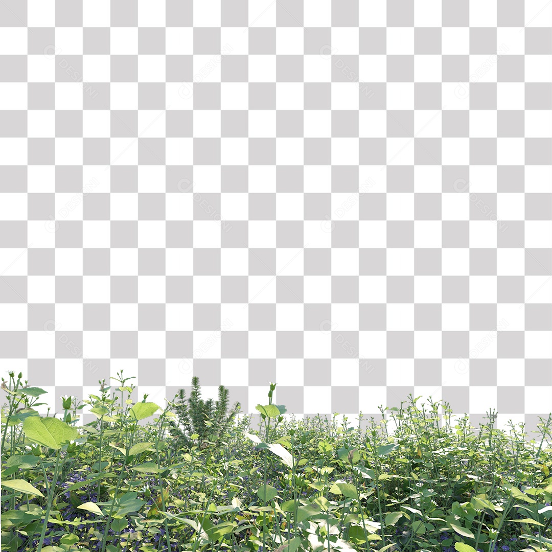 Planta com folhas verdes pedra PNG Transparente