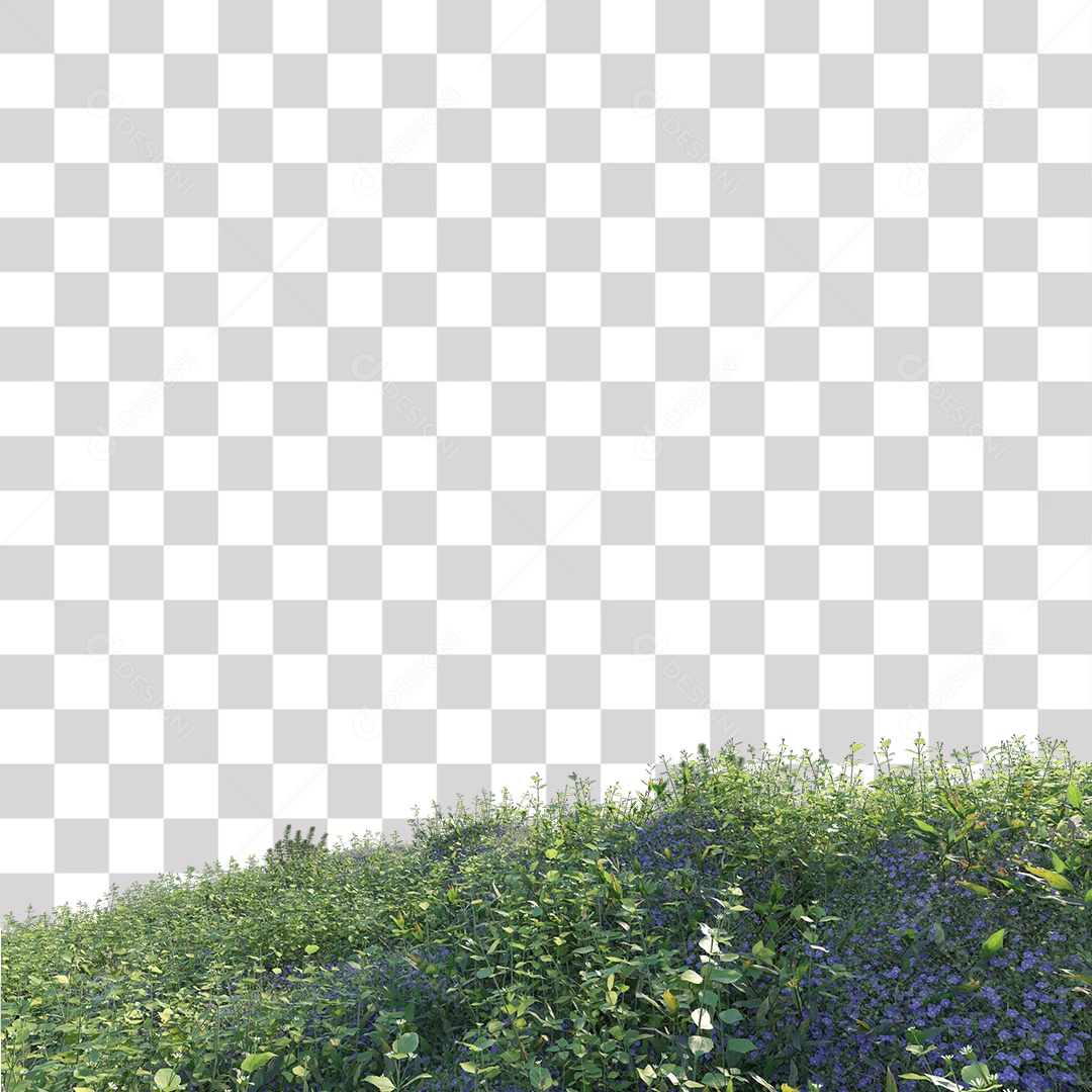 Planta com Flor PNG Transparente