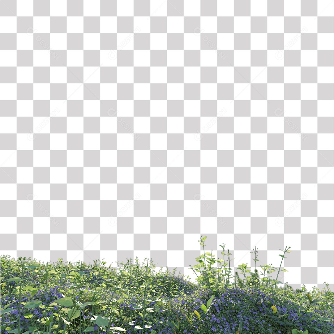 Planta com Flor PNG Transparente