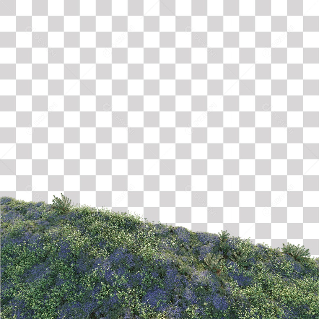 Planta com Flor PNG Transparente