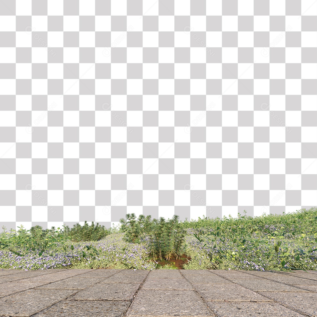 Planta Arbusto estrada PNG Transparente