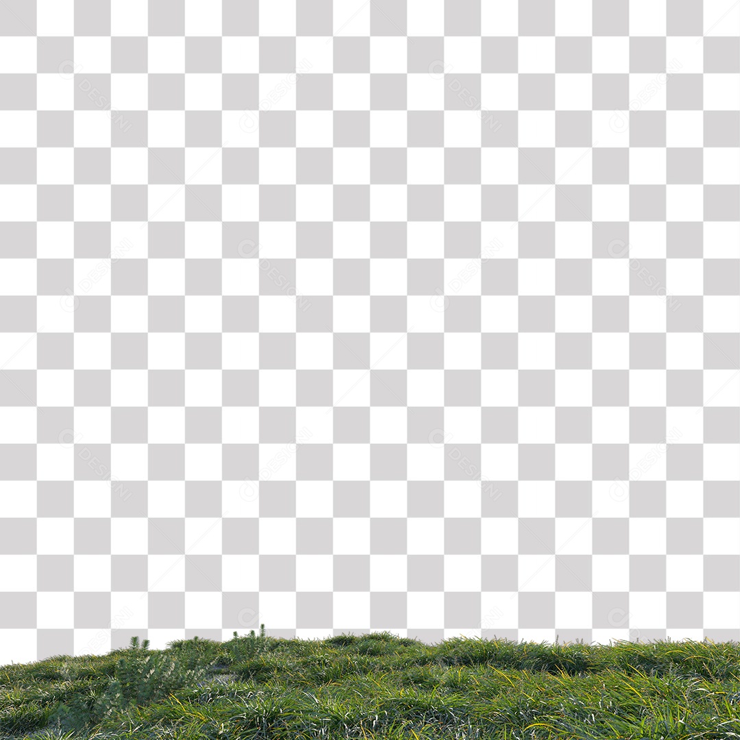 Planta Arbusto estrada PNG Transparente