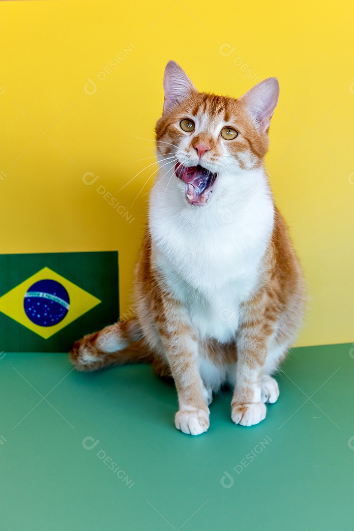 Copa do mundo pet, gato amarelo torcedor do Brasil com a boca aberta