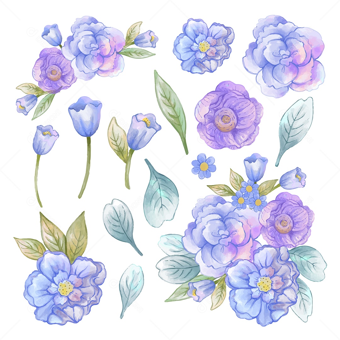 Big botanical set of wildflowers. Set separate parts and put together a beautiful bouquet of flowers in watercolor style on the background, illustration