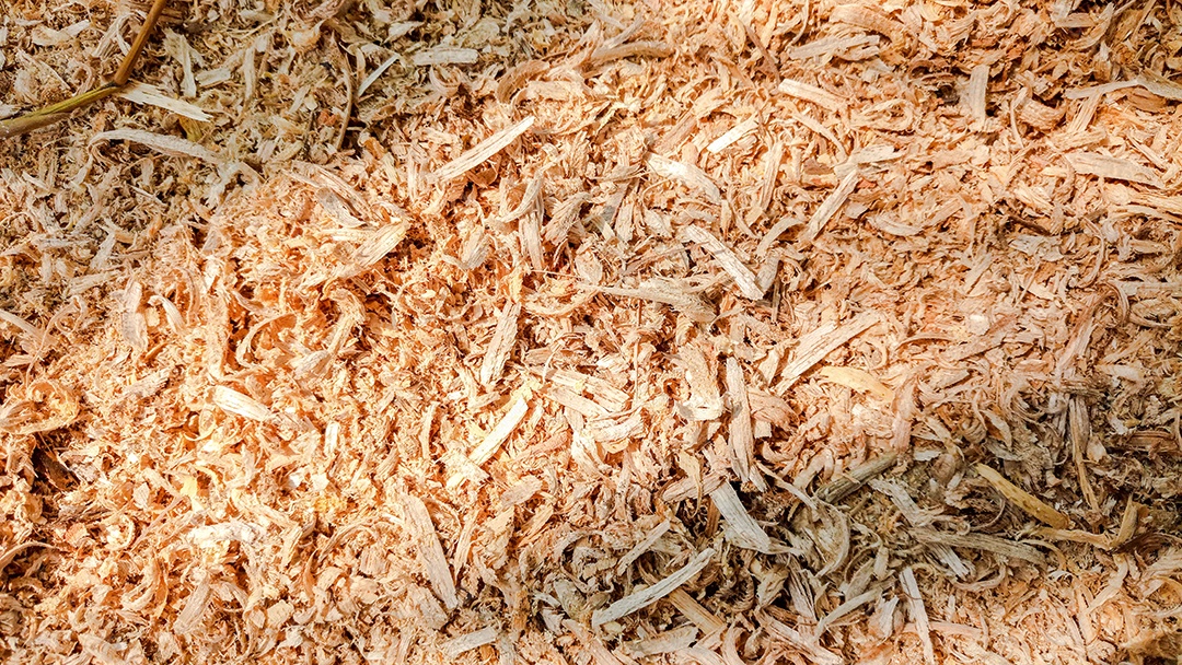 Pilha de serragem da folhosa, fundo de serragem