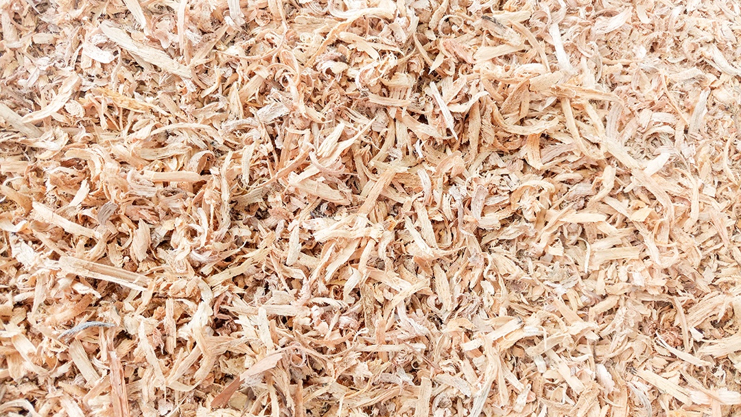 Fundo de serragem ou pó de madeira da folhosa