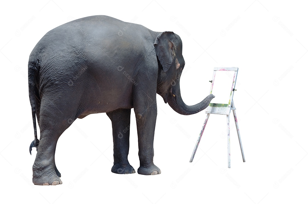 Elefante para colorir mostra em um fundo branco.