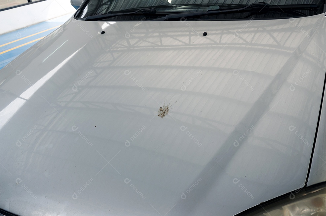 Sujeira no capô dianteiro do carro.