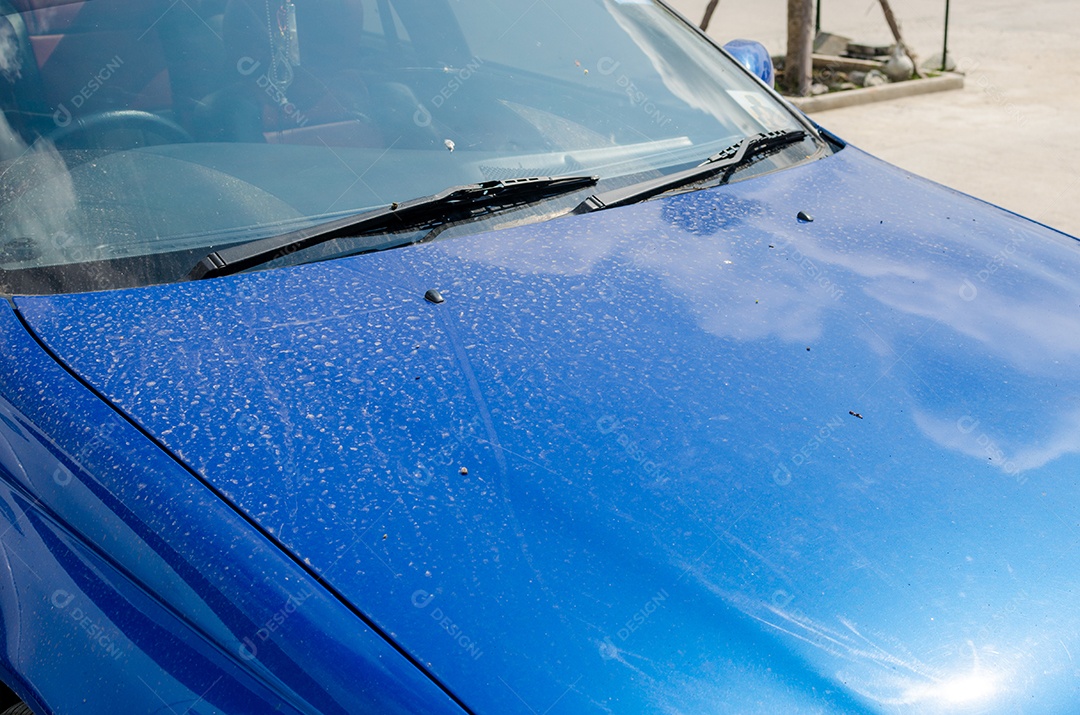 Sujeira, excrementos de pássaros no capô.