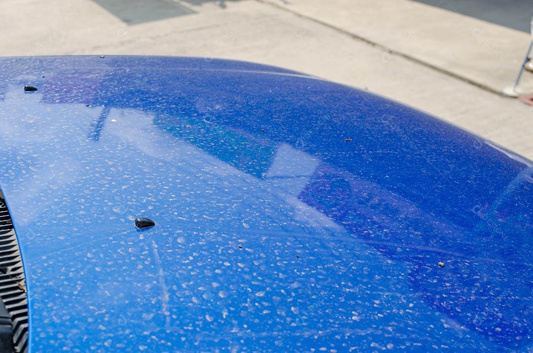 Sujeira, excrementos de pássaros no capô.