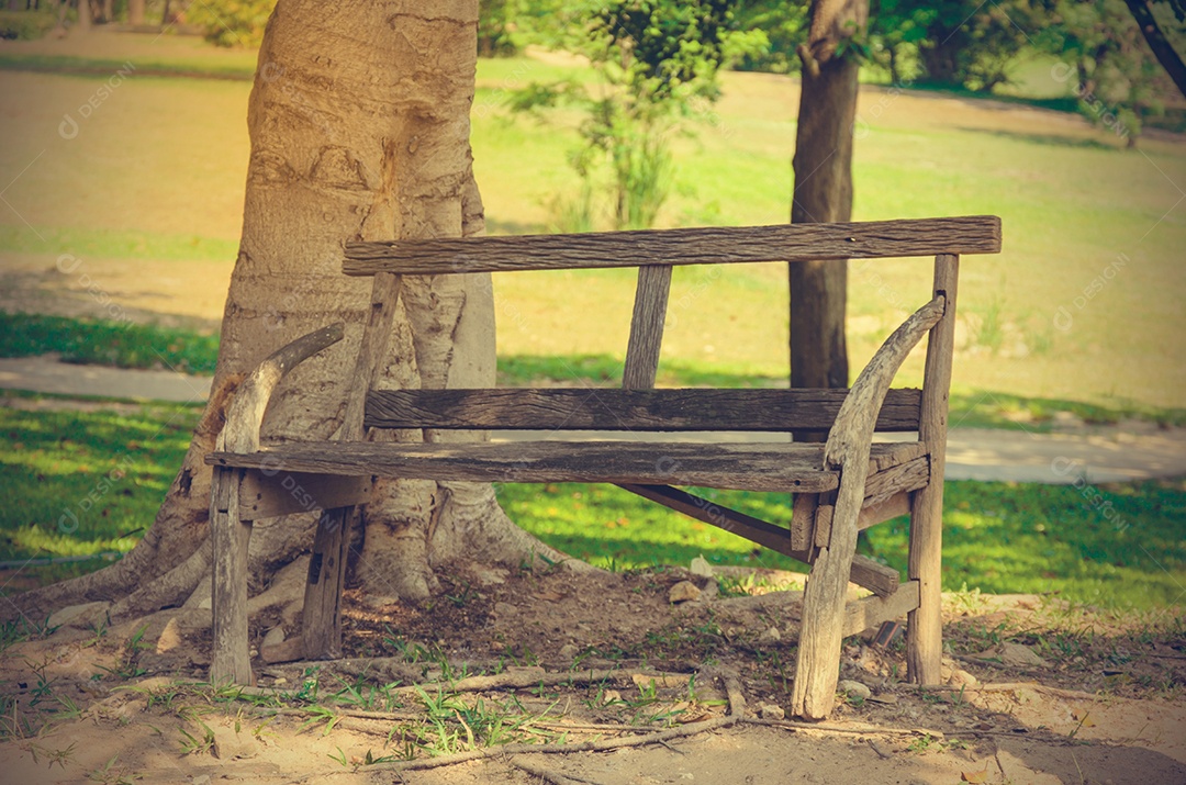 Cadeiras de madeira no jardim debaixo da árvore.
