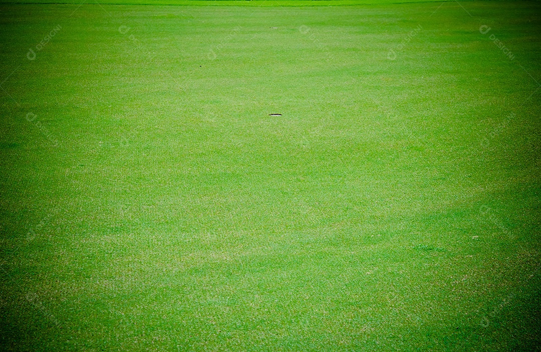 Buraco de golfe na grama verde.