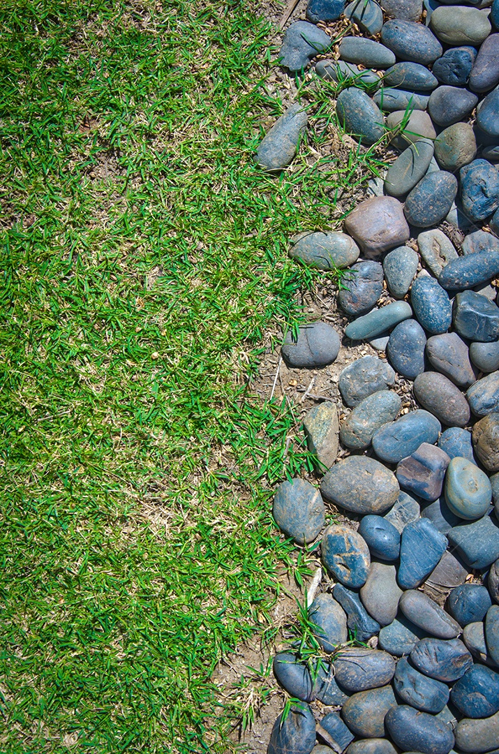 Grama e pedras como imagem de fundo.