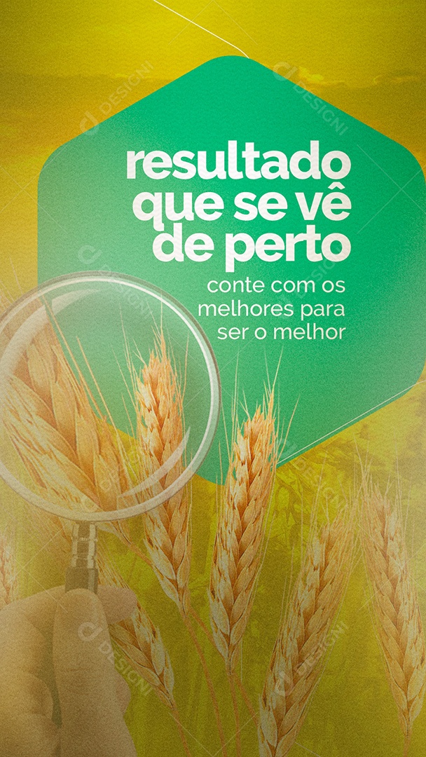Story Resultado que se vê de perto Agronegócio Social Media PSD Editável